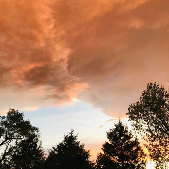 Meet your Posher, Shirley - Picture 1 of 1